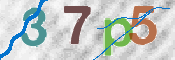 Sicherheitscode: